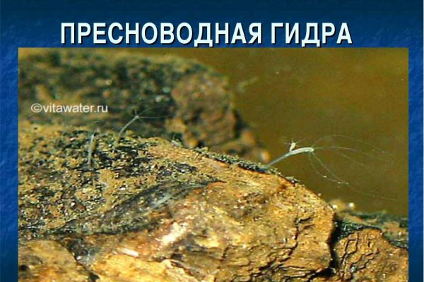 Кракен актуальная ссылка тор