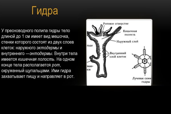 Современный маркетплейс kraken door