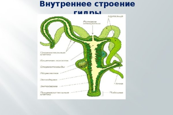 Как зайти на кракен kr2web in