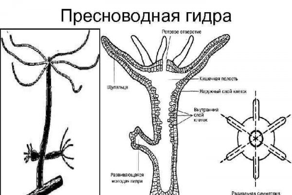 Браузер кракен